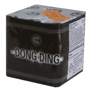 Dong Ding (22)